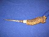 Maskenbilder 003.jpg